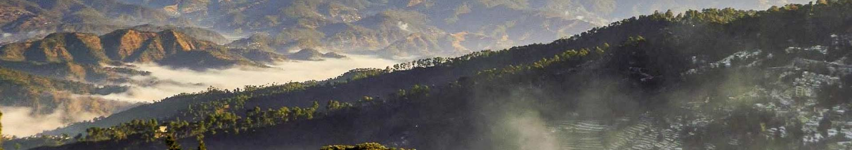 Nainital  Kausani  Tour Package