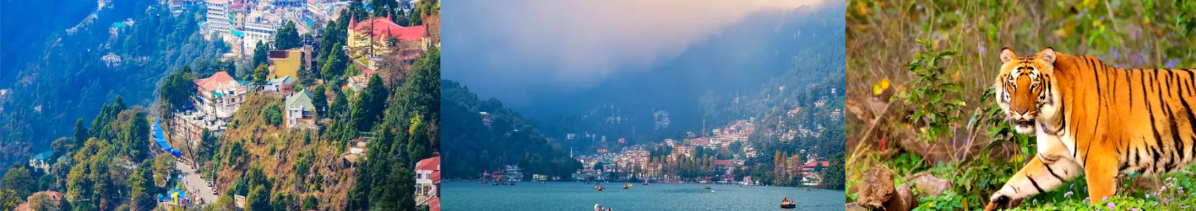 Jim Corbett Nanital Mussoorie Tour Package