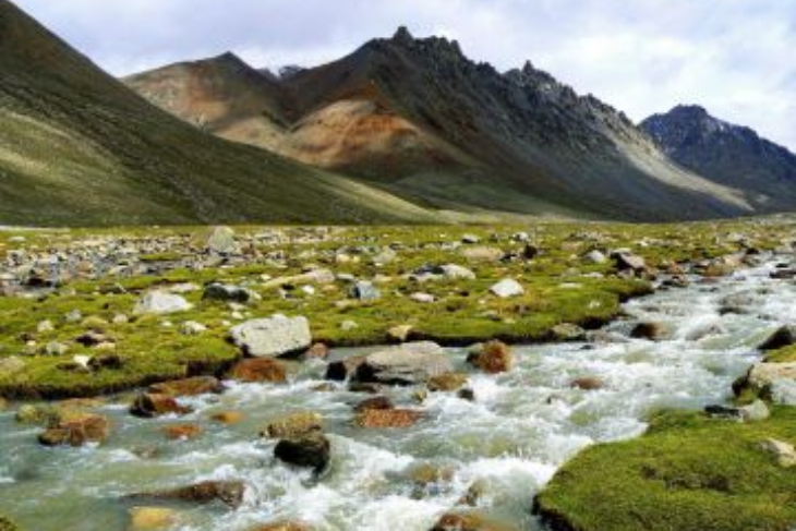 Mussoorie Dhanulti Tour Package