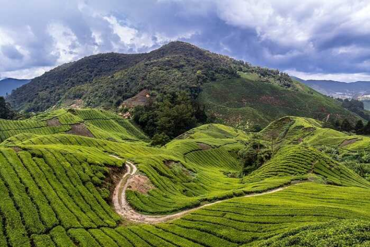Coorg Tour Package
