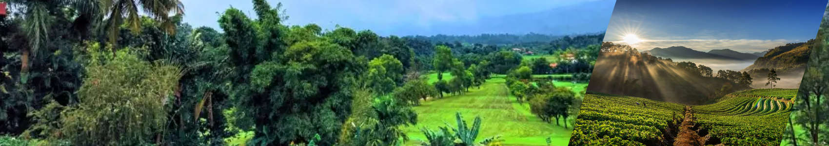 Coorg Tour Package