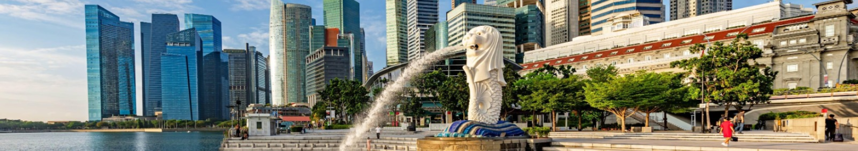 Complete Singapore Package