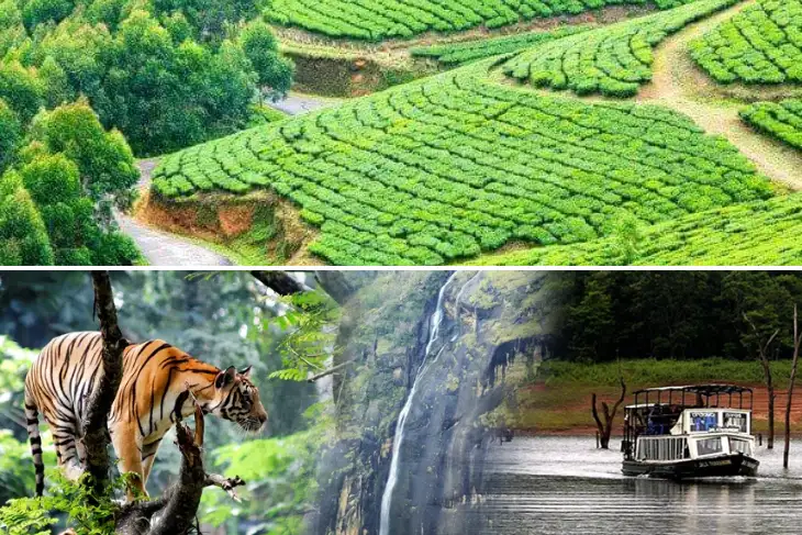 hekkady Tour Package from Cochin | Munnar Thekkady Package Delhi