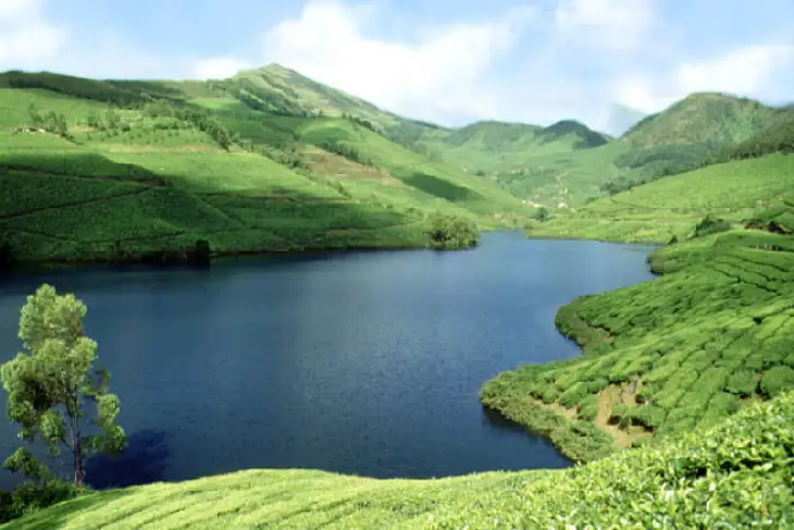 Kerala Hill Backwater & Beach Tour Package from Cochin | Delhi