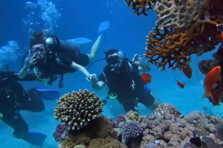 Goa Grand  Island Tour Package