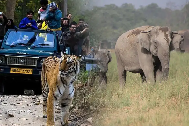 Jim Corbett Tour Package