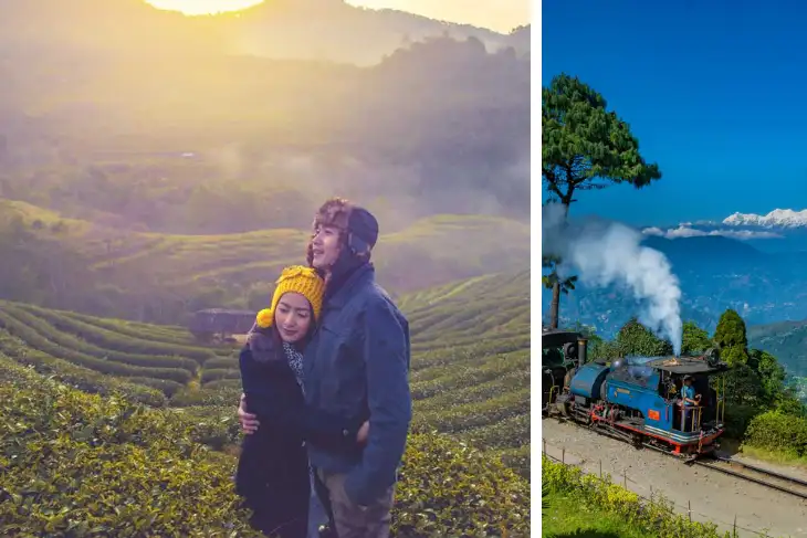 Darjeeling Honeymoon Tour Package