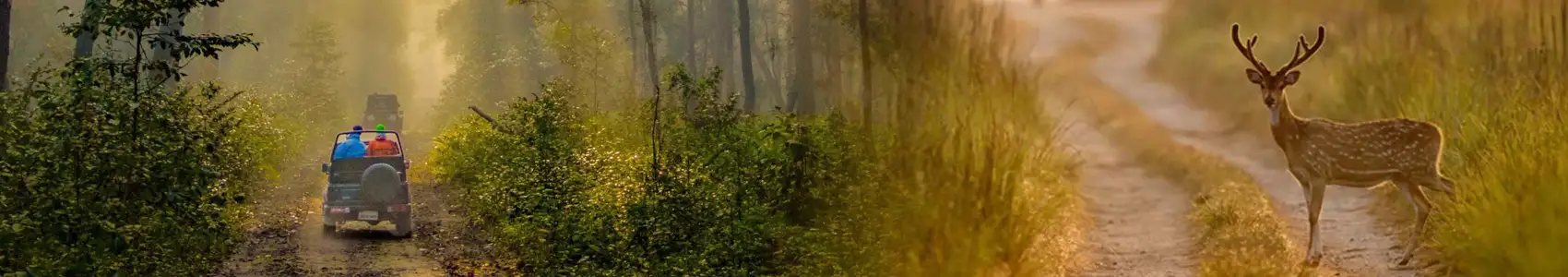 Corbett Holiday Tour Package From Delhi