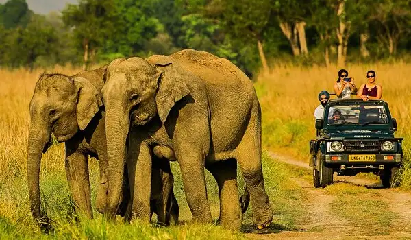 Jim Corbett Tour Package From Delhi ( 02 Night / 03 Days)