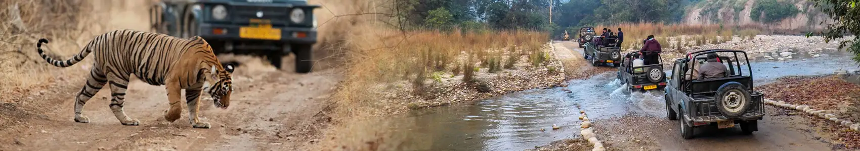 Jim Corbett Tour Package From Delhi ( 02 Night / 03 Days)