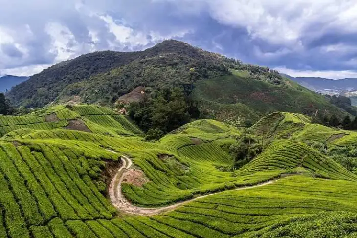 Coorg Tour Package