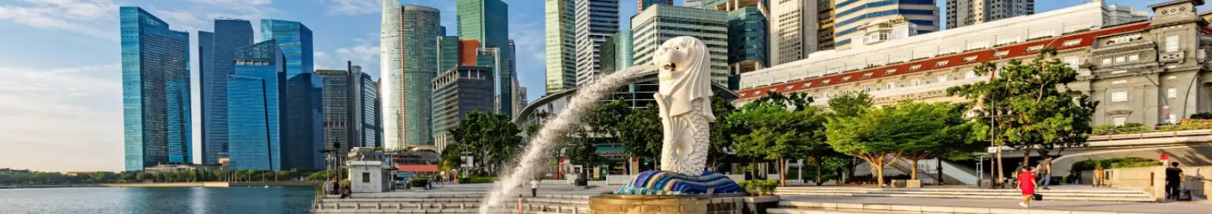 Complete Singapore Package