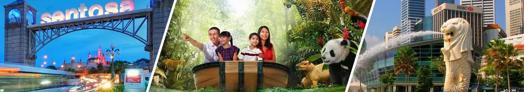 Incredible Singapore Tour Packages From Delhi | Trip Packages from India
