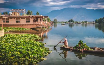 KASHMIR