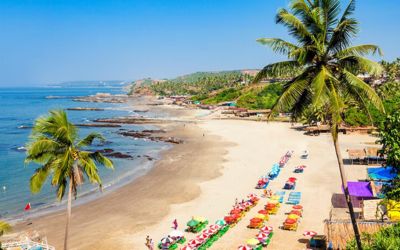 GOA
