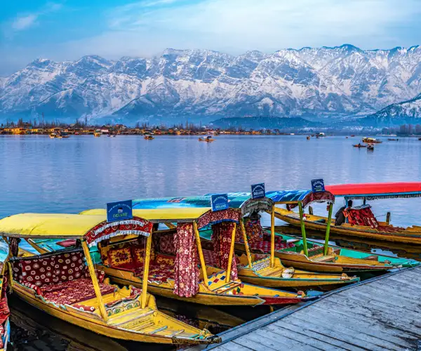 KASHMIR