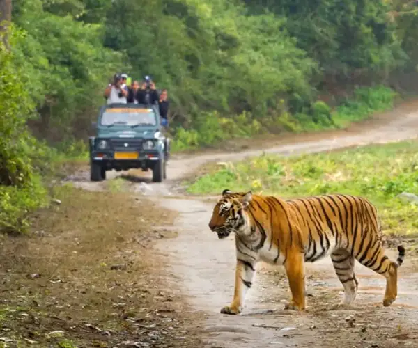 JIM CORBETT