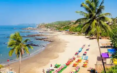 India Tour