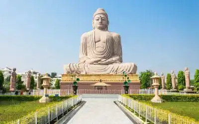 India Tour
