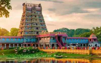 India Tour